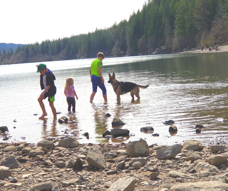 Rattlesnake Lake