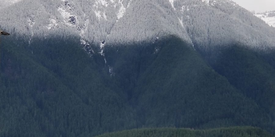 North Bend, Mount Si